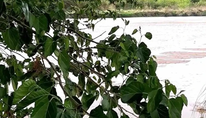 Rio Segundo Videos - Córdoba