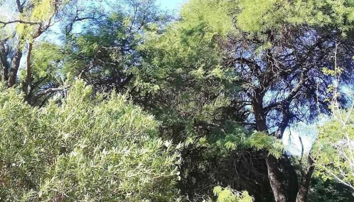 Robles - Santiago Del Estero