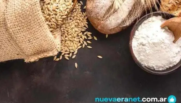 Rulipan -  Del Propietario - San Salvador de Jujuy