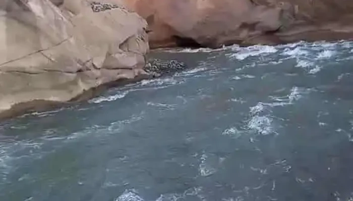 San Jose De Jachal -  Videos - San Jose de Jachal