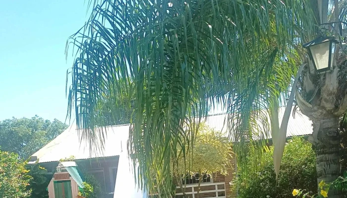 Se Alquila Casas En Paso De La Patria Serravalle -  Precios - Paso de la Patria