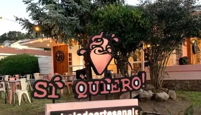 Si Quiero La Falda Helado Artesanal Del Propietario - La Falda