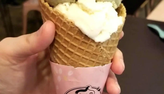 Si Quiero La Falda Helado Artesanal Helado Italiano - La Falda