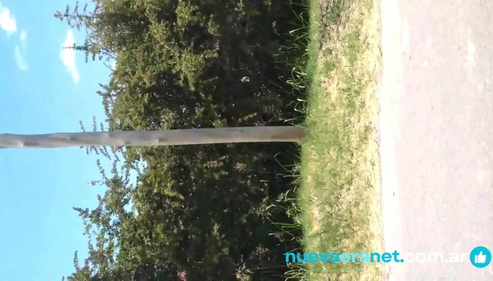 Sierras Azules 1720 Msnm Videos - Zonda