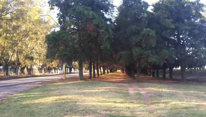 Sociedad Rural De Huinca Renanco Direccion - Huinca Renanco