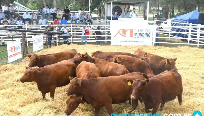 Sociedad Rural De Huinca Renanco Mas Recientes - Huinca Renanco
