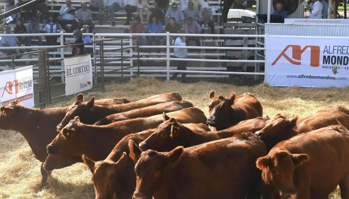Sociedad Rural De Huinca Renanco Zona - Huinca Renanco