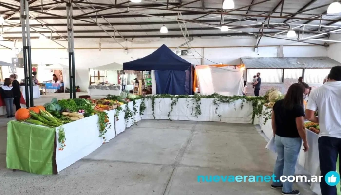 Sociedad Rural De Sarmiento -  Interior - Chubut
