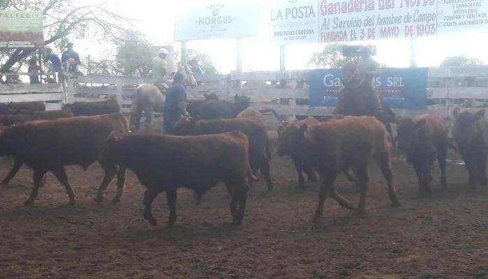 Sociedad Rural - Dean Funes