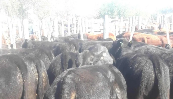 Sociedad Rural -  Ubicacion - Dean Funes