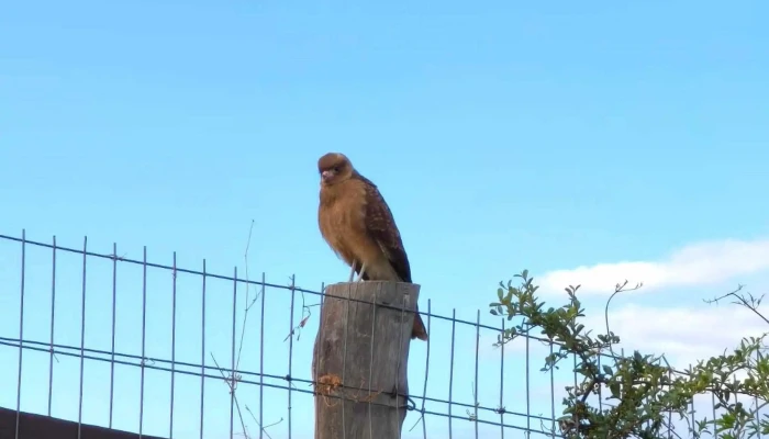 Sol De Las Sierras -    Casa De Campo Zonda - Zonda