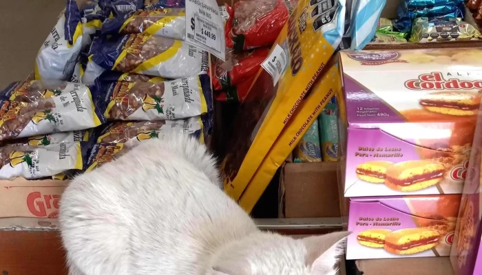 Supermercado El Parador Casa Romero Catalogo - Tanti
