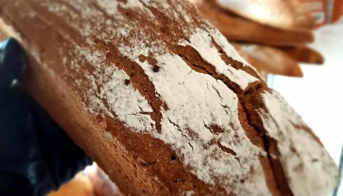 Taller De Pan -  Masa Madre - Villa Gral. Belgrano