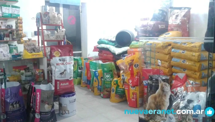 Tienda De Mascotas -  Interior - Santiago del Estero