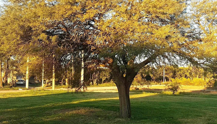 Tierra Alta Loteo Temporini Las Varillas - Las Varillas