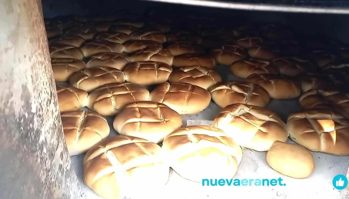 Ventadepancasero Y Masas Regionales Videos - Loro Huasi