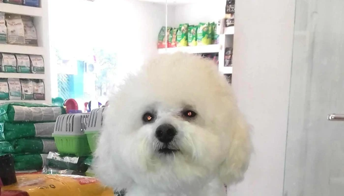 Veterinaria Alem Santiago Del Estero -  Catalogo - Santiago del Estero