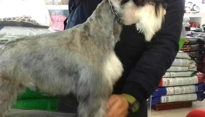 Veterinaria Alem Santiago del Estero - Santiago Del Estero