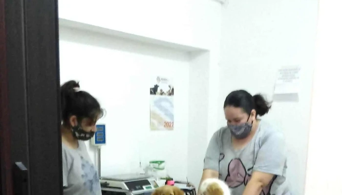 Veterinaria Snoopy -  Promocion - San Luis