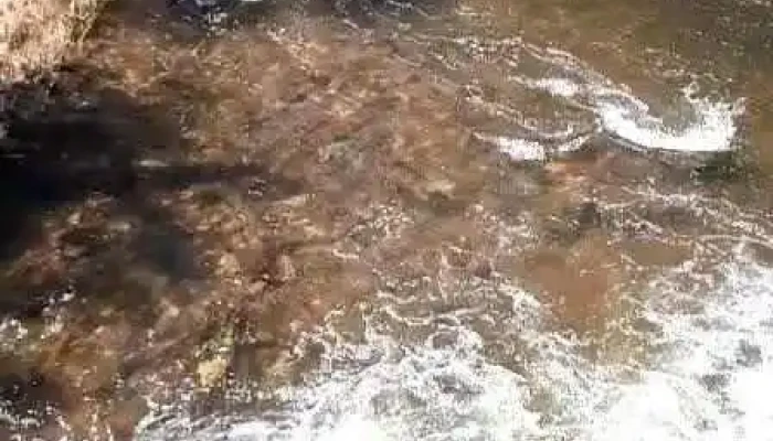Villa El Rosal -  Videos - Agua de Oro