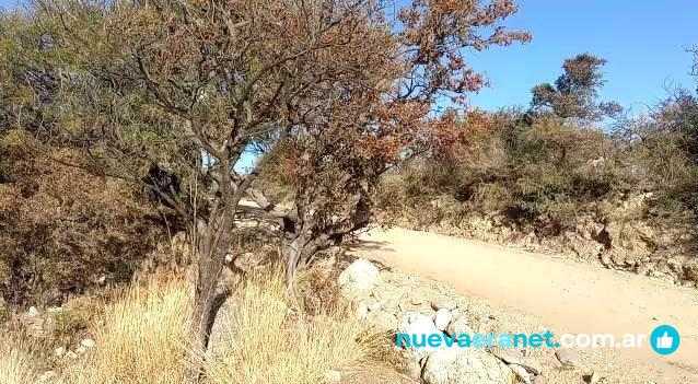 Villegas Propiedades -  Videos - Merlo
