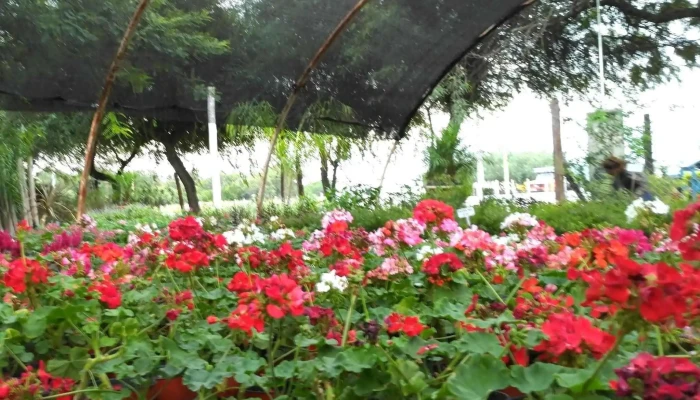 Vivero La Floresta -  Instagram - La Banda