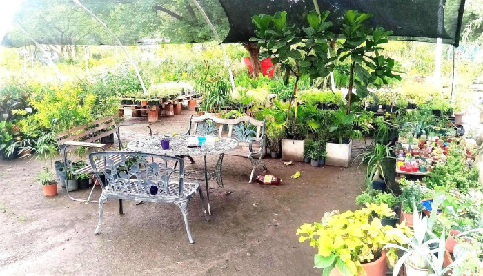Vivero La Floresta -  Interior - La Banda