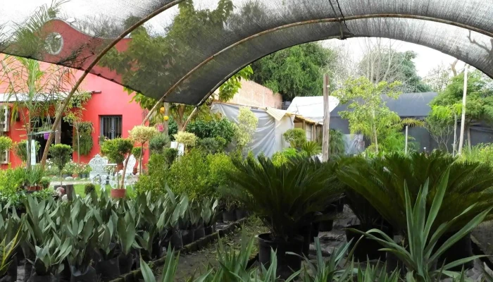 Vivero La Floresta -  Ubicacion - La Banda