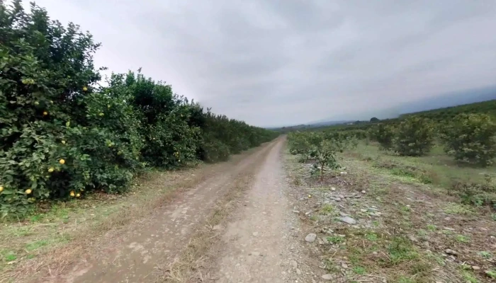 Yerba Buena -  Direcciondeg - Tucumán
